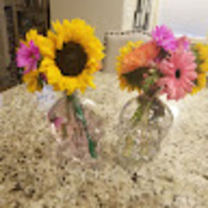 Meet your Posher, Sara